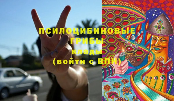 спиды Аркадак